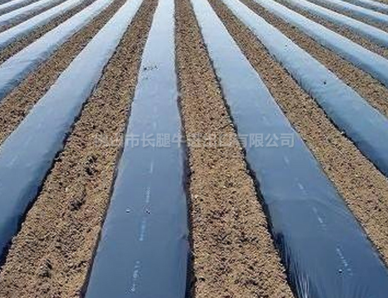 包头优质农用塑料膜批发